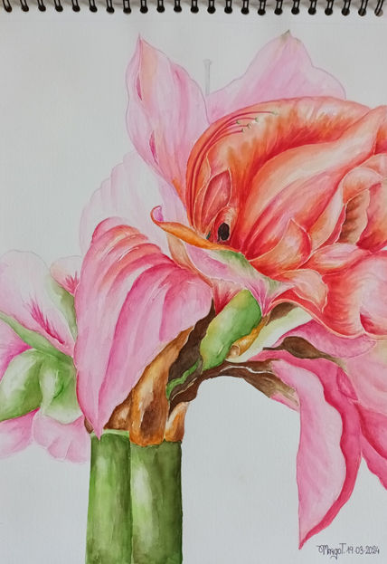 Flor de primavera