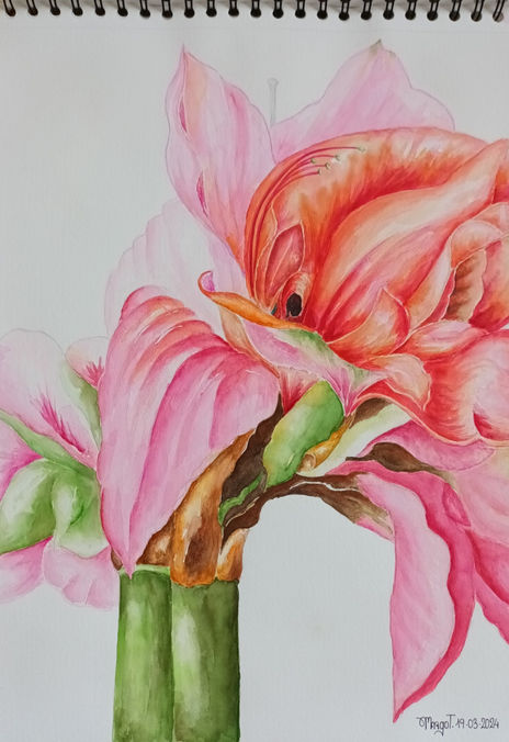 Flor de primavera