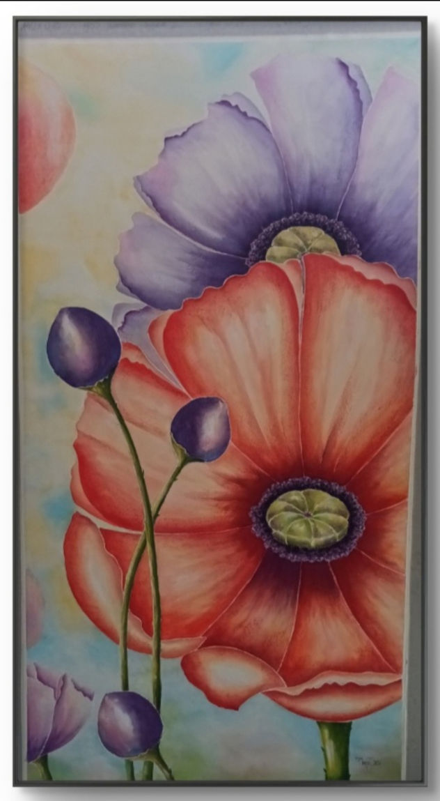 Lindisima Amapola