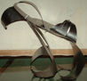 Desesculturas IV - Foto 1-