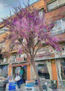 imprexpresionismo - árbol del amor y bar