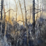 bosque thumbnail 1