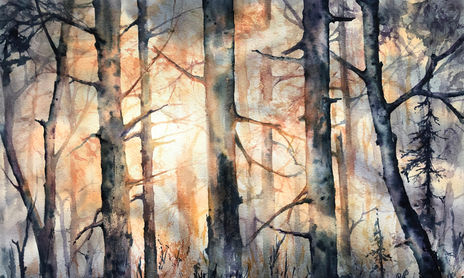 bosque