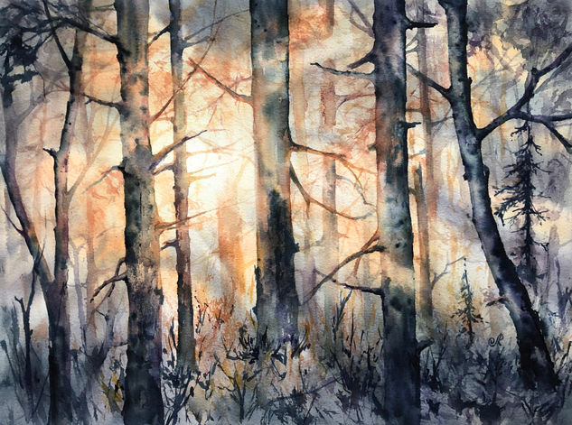 Paisaje Bosque Acuarela Papel Paisaje