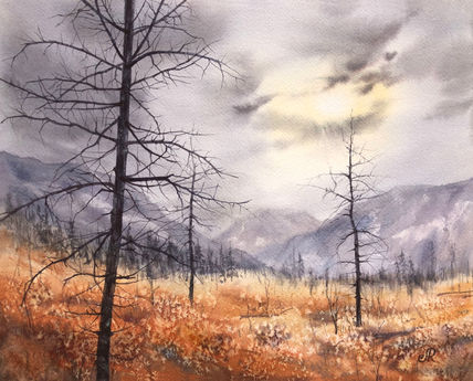 Paisaje