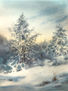 Paisaje Invierno