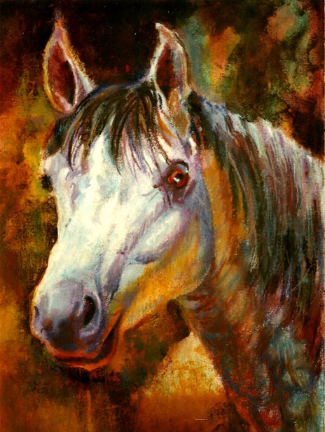 Cabeza de caballo