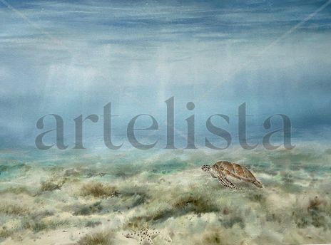 La tortuga
