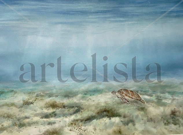 La tortuga Acuarela Papel Marina