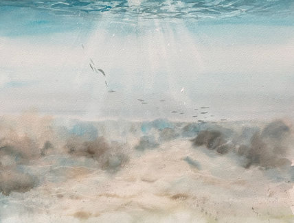 Fondo marino 1