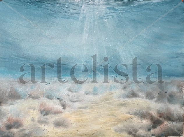 Fondo marino 2