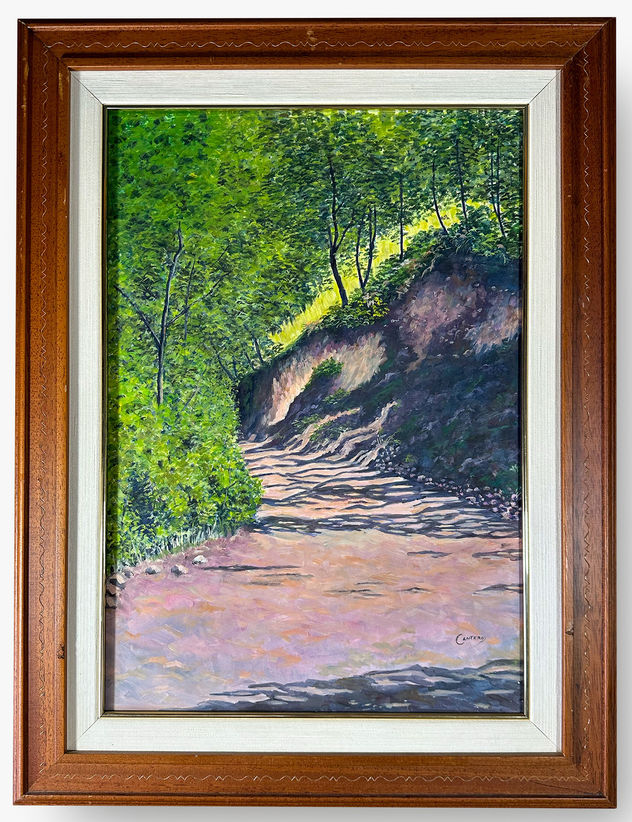 Camino entre árboles