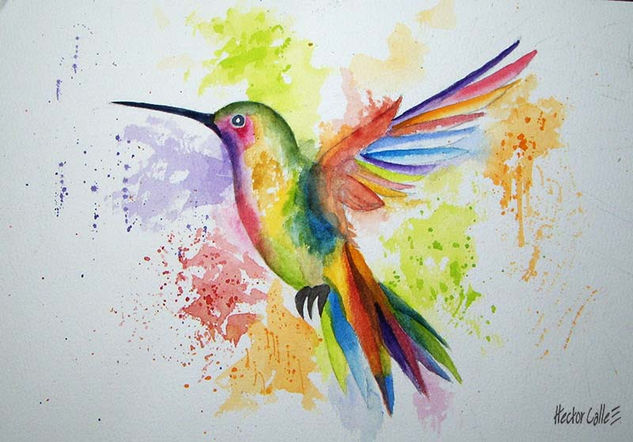 Colibri Acuarela Papel Animales