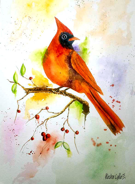 Cardenal
