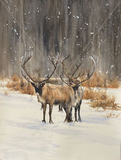 Los renos Watercolour Paper Animals
