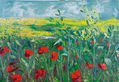 Primavera de amapolas