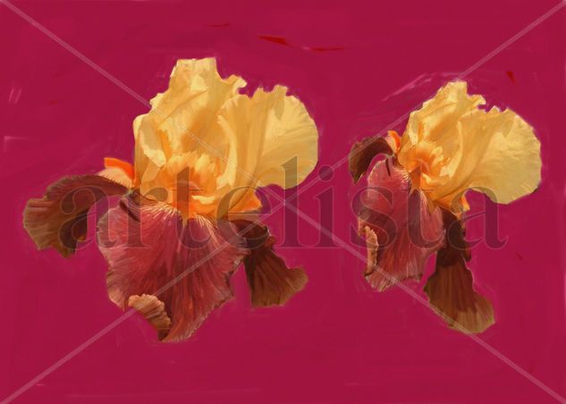 imprexpresionismo - flores de Castilla La Mancha VIII 