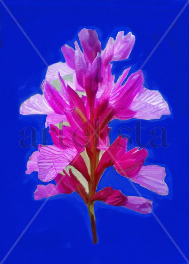imprexpresionismo - flores de Castilla La Mancha X
