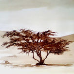 tinta de harango thumbnail 1