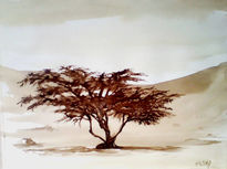 Huarango solitario
