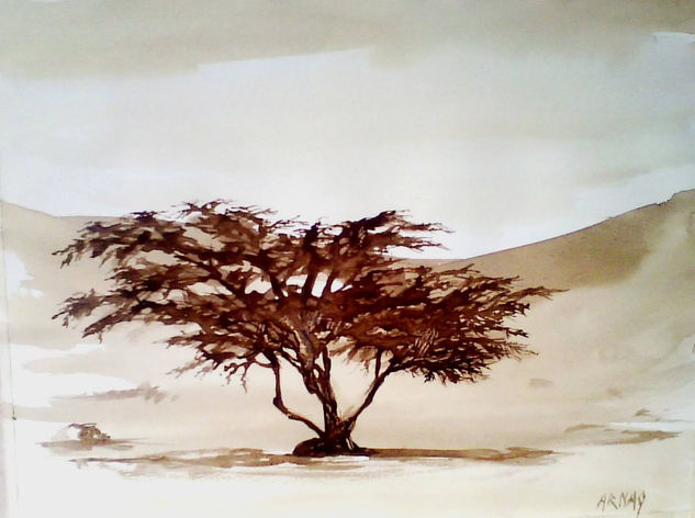 huarango solitario Ink