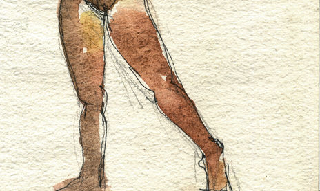 Desnudos