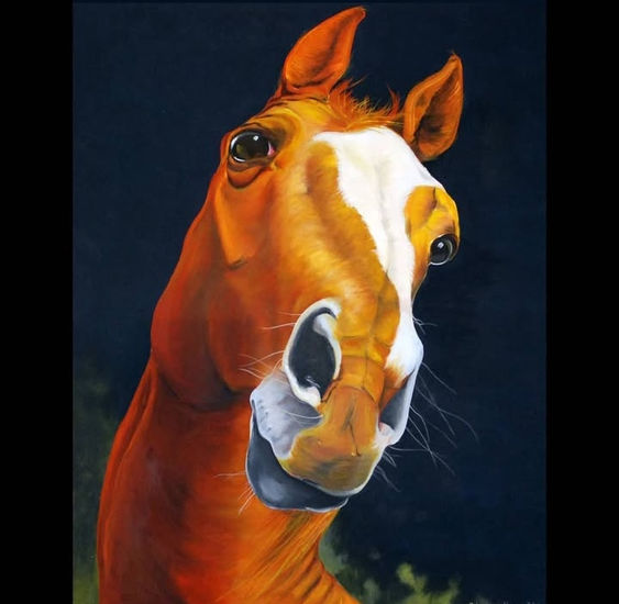 Alazan Óleo Lienzo Animales