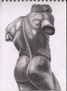 Torso