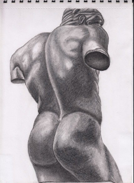 Torso