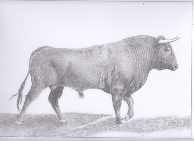 Toro
