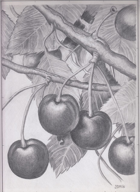 Cerezas