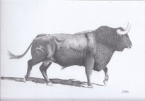 Toro