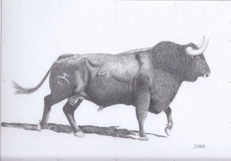 Toro