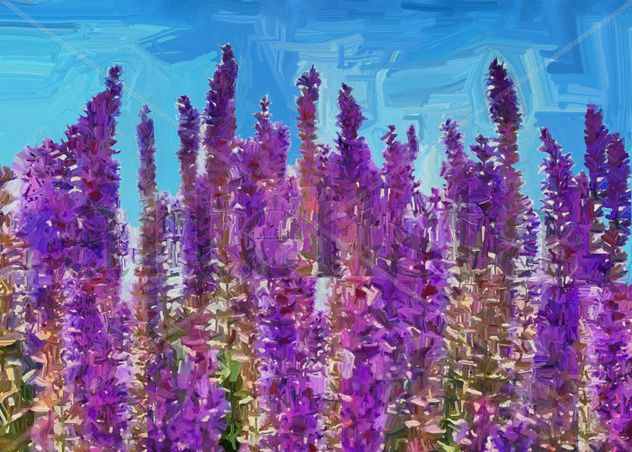 imprexpresionismo - flores de Castilla La Mancha XIII