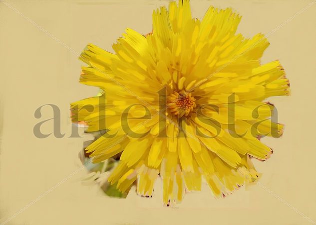 2025 - imprexpresionismo - flores de Castilla La Mancha XVI 