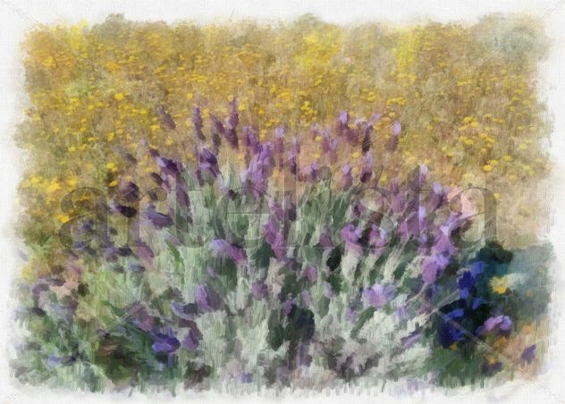 imprexpresionismo - flores de Castilla La Mancha XVIII