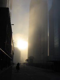 Tarde con neblina