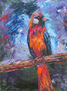 Colores en mi plumaje