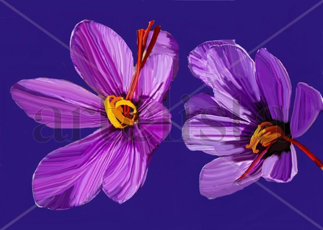 imprexpresionismo - flores de Castilla La Mancha XIX
