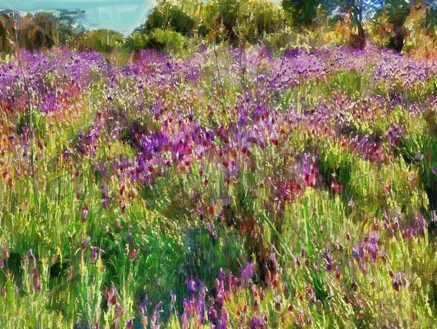 2025 - imprexpresionismo - flores de Castilla La Mancha XX