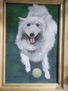 Toki