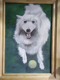 Toki