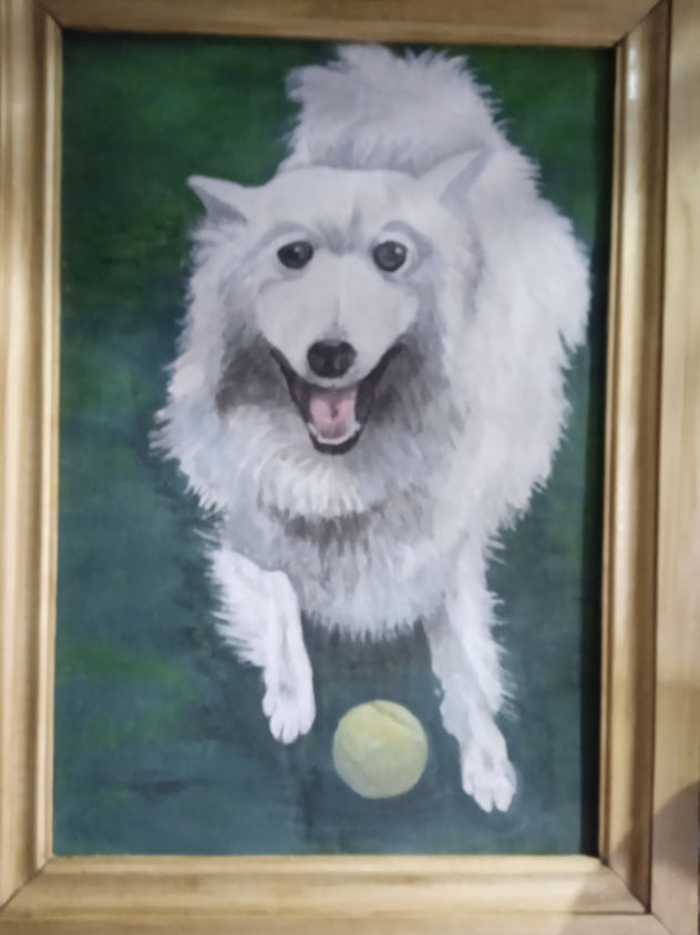 Toki