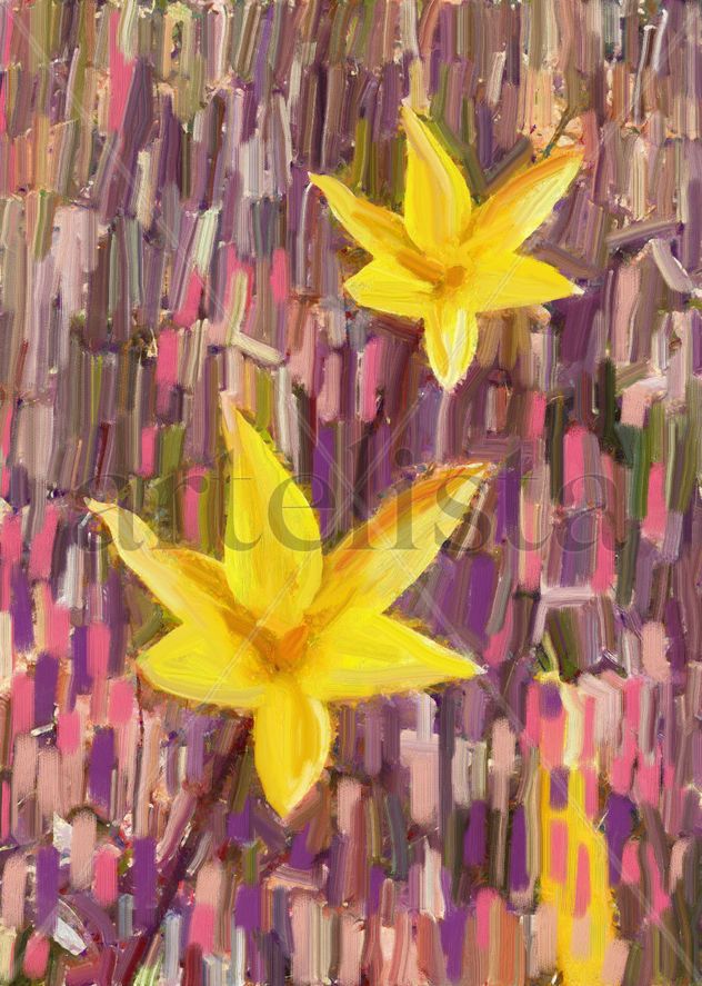 imprexpresionismo - flores de Castilla La Mancha XXI