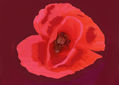 imprexpresionismo - flores de Castilla La Mancha XXII