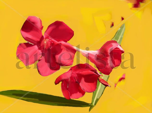 imprexpresionismo - flores de Castilla La Mancha XXIV