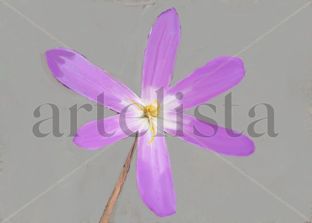 imprexpresionismo - flores de Castilla La Mancha XXV