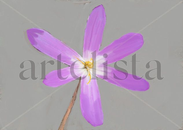 imprexpresionismo - flores de Castilla La Mancha XXV 