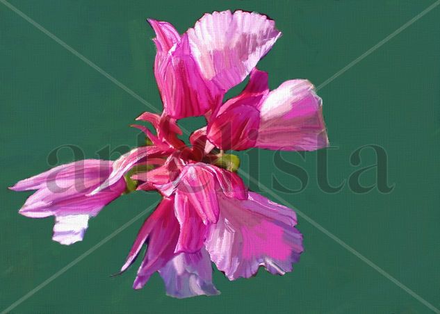 imprexpresionismo - flores de Castilla La Mancha XXVI 
