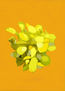 imprexpresionismo - flores de Castilla La Mancha XXVIII